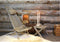 EcoChair Pine Grey