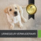Ecodor UF2000 4Pets - Urinegeur Verwijderaar - 1000 ml (1 op 5 Concentraat) - Vegan - Ecologisch - Ongeparfumeerd