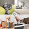 Ecodor UF2000 4Pets - Urinegeur Verwijderaar - 1000 ml (1 op 5 Concentraat) - Vegan - Ecologisch - Ongeparfumeerd