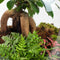 Ecolight XXL Botanical + standaard