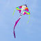 Ecoline Eenlijns Vlieger Simple Flyer Pegasus Spanwijdte 1200 mm Geschikt voor windsterkte 2 - 5 bft