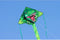 Ecoline Eenlijns Vlieger Simple Flyer T-Rex Spanwijdte 1200 mm Geschikt voor windsterkte 2 - 5 bft