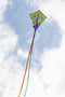 Ecoline Vlieger Eddy Peacock Spanwijdte 580 mm Geschikt voor windsterkte 2 - 5 bft