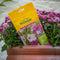 ECOstyle Voedingssticks Voor Terras- en balkonplanten - Zorgt voor Extra Ondersteuning - Bevat Geconcentreerd Plantenvoeding - 120 Dagen Voeding - 30 Stuks