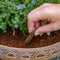 ECOstyle Voedingssticks Voor Terras- en balkonplanten - Zorgt voor Extra Ondersteuning - Bevat Geconcentreerd Plantenvoeding - 120 Dagen Voeding - 30 Stuks