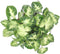 Ecosysteem ‘Dragon Tail’ met verlichting - Broekhof Adding Value - Groene plant- Hoogte 25 cm