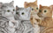 Home ESPRIT - Decoratieve figuren - Katten - Bruin Grijs (2 stuks)