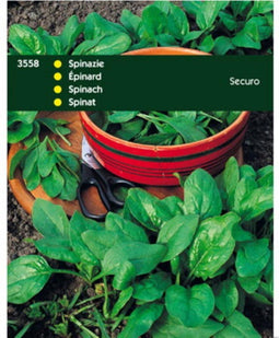 5 stuks Spinazie Securo