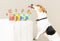 Edgard & Cooper Biologische Kalkoen Kuipje - Voor volwassen honden - Hondenvoer - 100g NL-BIO-01