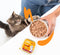 Edgard & Cooper Kattenvoer Adult Pate Kip 85 gr