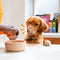 Edgard & Cooper Kip & Kalkoen Blik - Voor volwassen honden - Hondenvoer - 400g