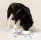 Edgard & Cooper Kuipje Honden Natvoer Hondenvoer Rund - Eend 150 gr
