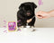 Edgard & Cooper Kuipje Honden Natvoer Hondenvoer Wild - Eend 150 gr
