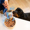Edgard & Cooper natvoer Salmon & Turkey - 400 gram - Hond