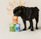Edgard & Cooper natvoer Salmon & Turkey - 400 gram - Hond