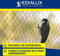 Edialux Vogelnet 4x5m fijnmazig, knooploos polyethyleen, rotvrij, weersbestendig, zwart, beschermt vijver, moestuin, balkon en bomen tegen duiven en vogels, ultieme vogelwering, 20m²