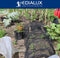 Edialux Vogelweringsnet voor tuin, ideaal voor het beschermen van aardbeien, groenten, fruit en bloemen, weerbestendig en eenvoudig te monteren beschermnet tegen vogels zoals duiven, kauwen, eksters en kraaien, maaswijdte 22 mm, 10 x 10 m, 100 m²