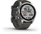 Garmin fenix 7S - Smartwatch - 1,2-inch display - Zilver (Grafiet)