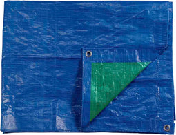 EDM Blauw/Groen - Metalen ogen - 90 g/m2 - 10 x 15 m