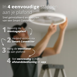 FlinQ AeroGlow - Smart Plafondventilator met Verlichting - Stil en energiezuinig - Zwart