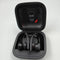 Beats Powerbeats Pro - Draadloze Oordopjes - Zwart