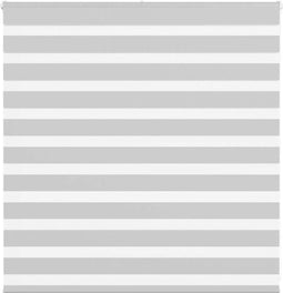 vidaXL - Zebra - rolgordijn - 150x100 - cm - stofbreedte - 145,9 - cm - lichtgrijs