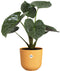 Elho Jazz Rond 26 Bloempot - 100% Gerecycled Plastic - Ø 26 x H 24.2 cm - Amber geel