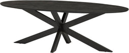 Eettafel Colombia 210 cm ovaal mangohout - zwart | Meubelplaats