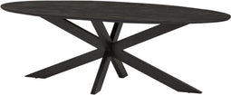 Eettafel Colombia 240 cm ovaal mangohout - zwart | Meubelplaats