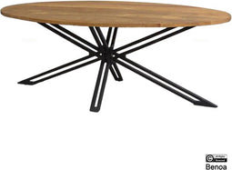 Eettafel Jayden ovaal mangohout 200x90 cm