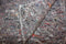 OPSLAGDEKEN I PICKNICKKLEED - VERHUISDEKEN - 200 x 150 cm