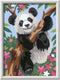 Ravensburger CreArt Playful Panda - Schilderen op nummer voor kinderen