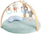 Bright Starts Ingenuity Speelkleed - Babygym - Activiteiten Gym - Cozy Spot - Speeltapijt baby - houten boog