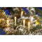 EGB LED mini fairy lights transparent 96 ww LED