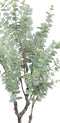 PTMD Tree Eucalyptus Kunstboom - 79x41x148 cm - Plastic Pot - Groen