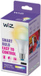 WiZ A67 - Slimme Lamp E27 - Instelbaar wit licht (1x)