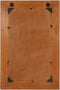 vidaXL - Wandspiegel - 60x90 - cm - massief - gerecycled - hout
