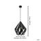 EGLO Carlton 1 Hanglamp - E27 - 38,5 cm - Zwart/Zilver