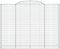 vidaXL - Schanskorven - 5 - st - gewelfd - 300x50x220/240 - cm - ijzer