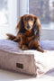 Designed by Lotte Ribbed - Hondenkussen - Roze - 70 x 55 cm - Hond