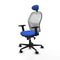 Piqueras y Crespo 2D036N1 - Bureaustoel - Hoofdsteun verstelbaar - Blauw