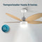 Plafond ventilator EnergySilence Aero 4260 Orange Cecotec