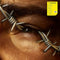 Post Malone - Beerbongs & Bentleys - 2 LP - Standard Edition
