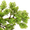 vidaXL - Kunstplant - met - pot - cipres - bonsai - 60 - cm - groen