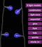 vidaXL - Lichtsnoer - met - 200 - LED's - 8 - functies - blauw - 20 - m