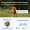 Tractive DOG 6 - GPS Tracker voor Honden - Real-Time Locatie en Activiteitenmonitor - Munt