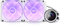 NZXT Kraken 280 - AIO Vloeistofkoeler 280mm - LCD Scherm RGB Ventilatoren - Wit