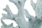 Decoratieve figuren Home ESPRIT Blauw Wit Koraal Mediterrane 21,5 x 18 x 21,5 cm