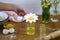 Eierscheider Daisy