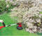 Einhell GC-ET 4025 Grastrimmer